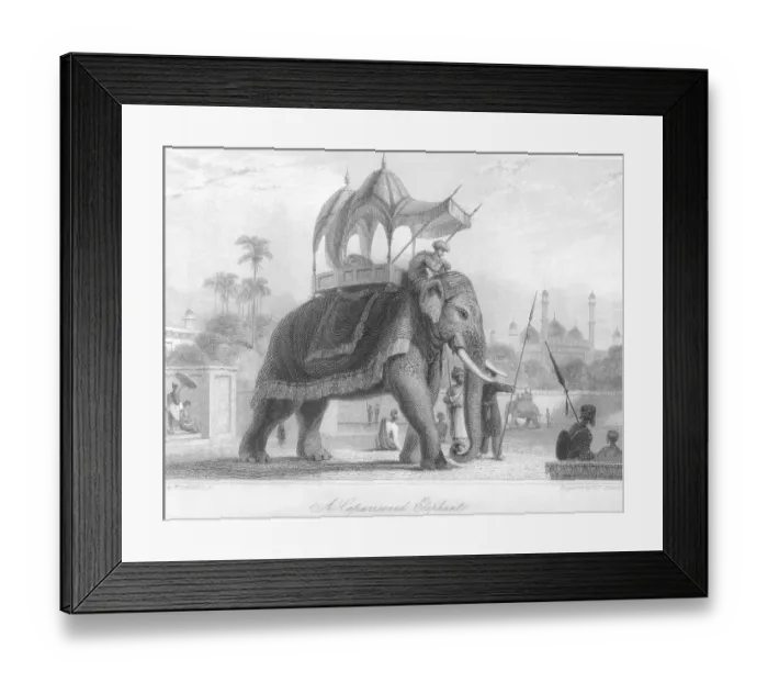 Framed Print : Caparis oned Elephant Print Framed Print : Caparis oned Elephant Print