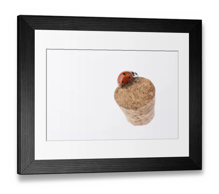 Framed Print : Beautiful Red Ladybug Print Framed Print : Beautiful Red Ladybug Print
