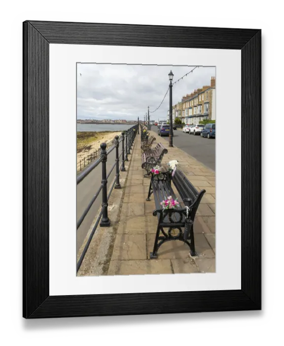 Framed Print : Flowers on Memorial Benches, Hartlepool Headland Print Framed Print : Flowers on Memorial Benches, Hartlepool Headland Print