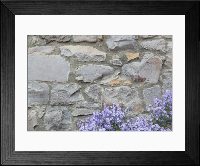 Framed Print : Old Stone Wall with Flowers Background Texture Print Framed Print : Old Stone Wall with Flowers Background Texture Print