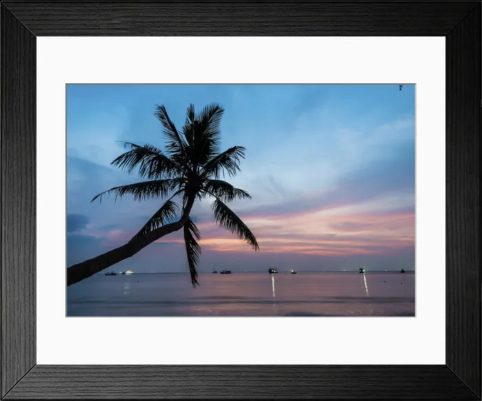 Framed Print : Palm Tree at Sunset Print, Koh Tao, Thailand Framed Print : Palm Tree at Sunset Print, Koh Tao, Thailand