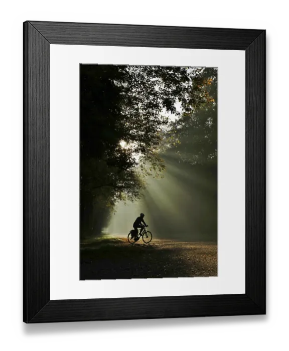 Framed Print : Atmospheric Autumn Print, Germany October Scene Framed Print : Atmospheric Autumn Print, Germany October Scene