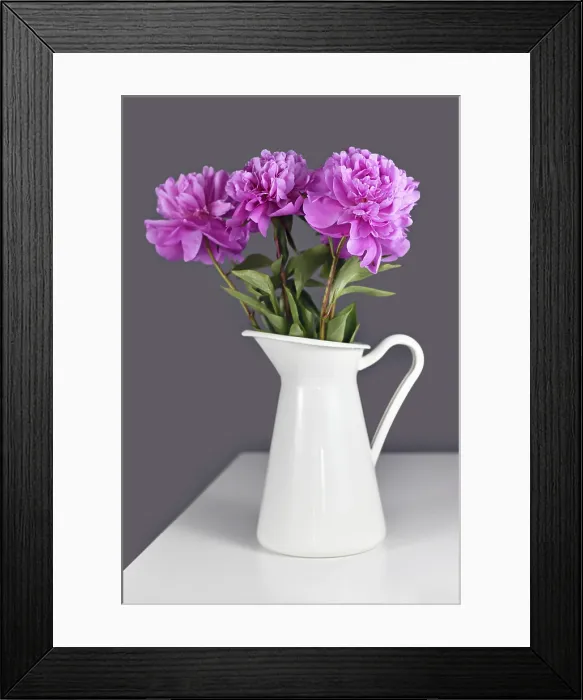 Framed Print : Pink Chinese Peony Bouquet Print in Gray Background Framed Print : Pink Chinese Peony Bouquet Print in Gray Background