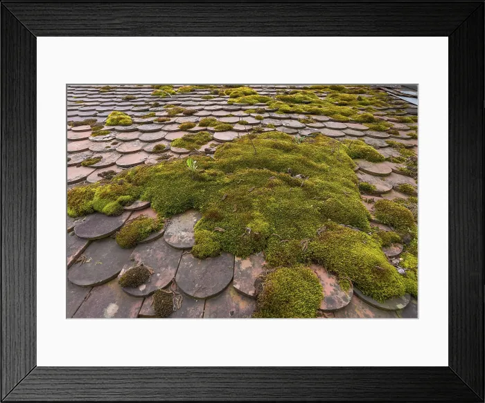 Framed Print : Mossy Roof of Old Baking Oven Print, Franconia, Germany