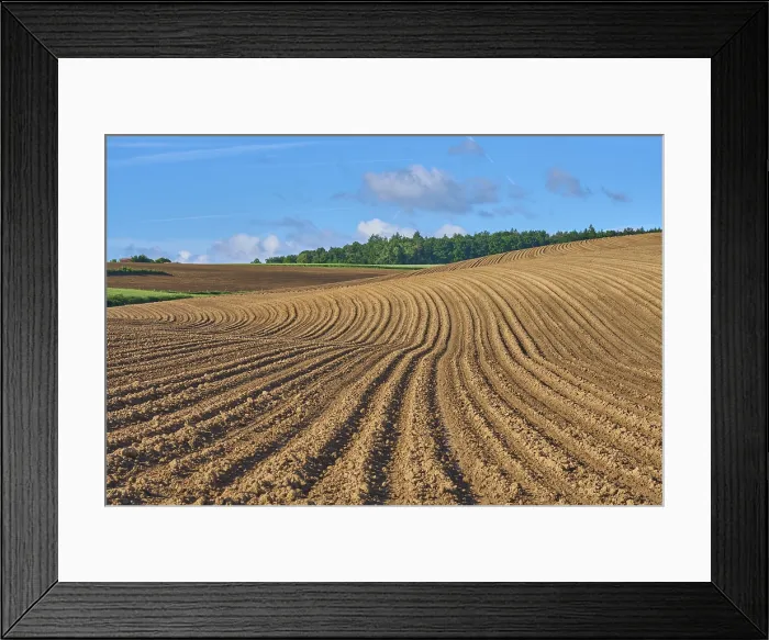 Framed Print : Landscape with Potato Field Print, Groheubach, Bavaria Framed Print : Landscape with Potato Field Print, Groheubach, Bavaria