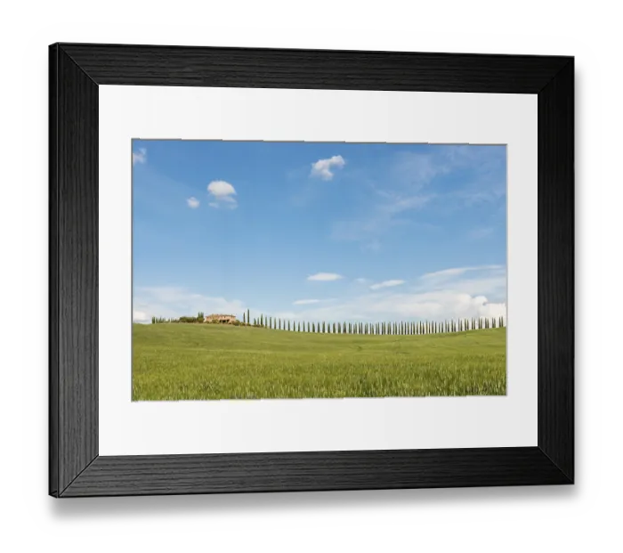 Framed Print : Country Estate Poggio Covili Cypress Tree Print, Tuscany, Italy