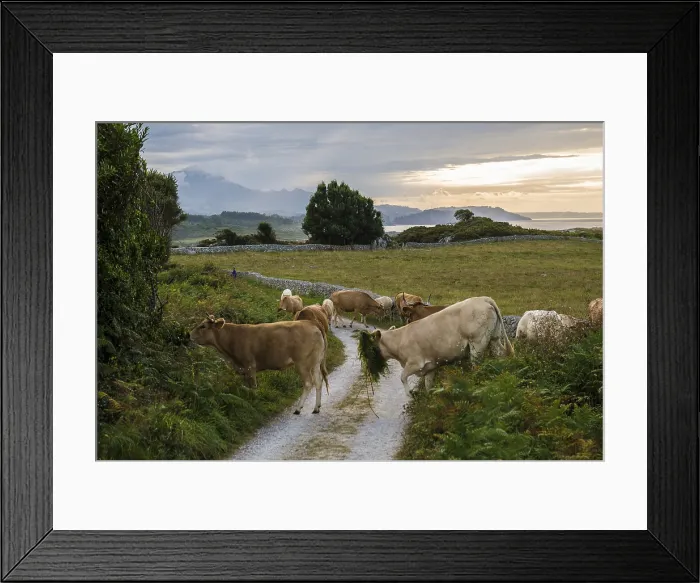 Framed Print : Coastal Landscape Print, Ribadesella, Asturias, Spain Framed Print : Coastal Landscape Print, Ribadesella, Asturias, Spain