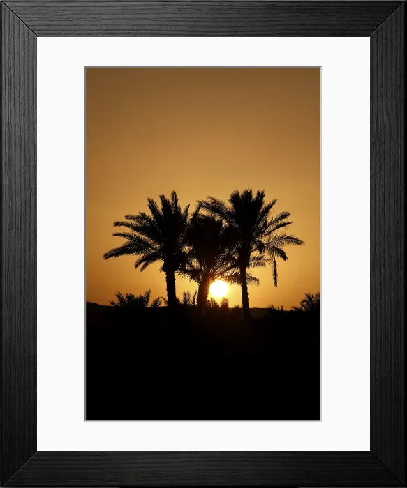 Framed Print : Palms of El Gouna in Sunset Print, Egypt Framed Print : Palms of El Gouna in Sunset Print, Egypt