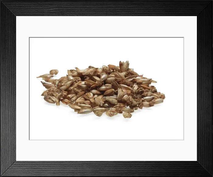 Framed Print : Spelt Husk Pillow Filling Print Framed Print : Spelt Husk Pillow Filling Print