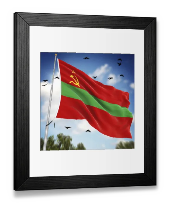 Framed Print : 3D Rendered Print of Transnistria State Flag