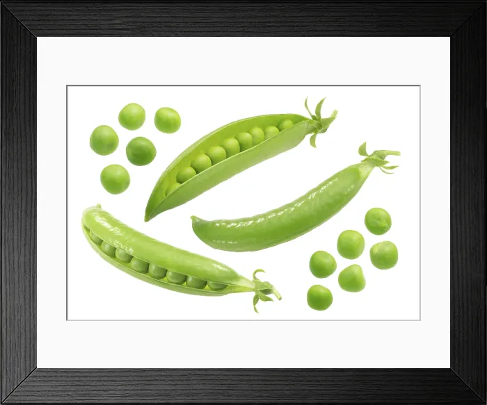 Framed Print : Fresh Pea Pods and Seeds Print Framed Print : Fresh Pea Pods and Seeds Print