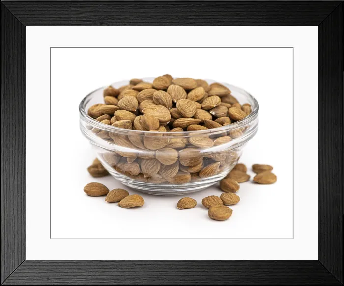 Framed Print : Apricot Kernels Print - Close Up Detail Framed Print : Apricot Kernels Print - Close Up Detail