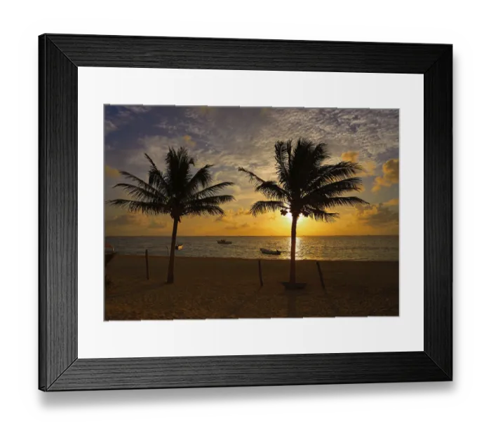 Framed Print : Caribbean Sunrise Palm Tree Print Framed Print : Caribbean Sunrise Palm Tree Print