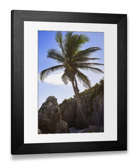 Framed Print : Tulum Beach Palm Tree Print Framed Print : Tulum Beach Palm Tree Print