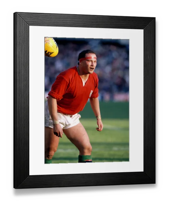 Framed Print : Print of Australia v British Lions rugby match Framed Print : Print of Australia v British Lions rugby match