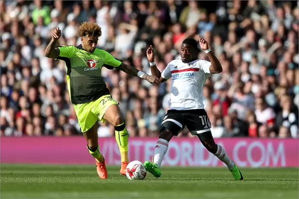 Fulham vs. Reading: Intense Moment between Danny Williams and Floyd Ayite in Sky Bet Championship Play-off First Leg at Craven Cottage