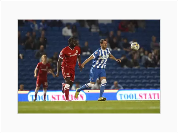 Brighton & Hove Albion vs. Cardiff City: 30SEP14 (Home Game)