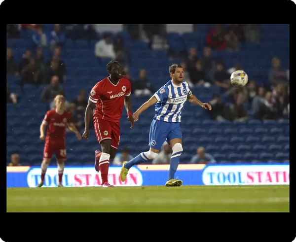 Brighton & Hove Albion vs. Cardiff City: 30SEP14 (Home Game)