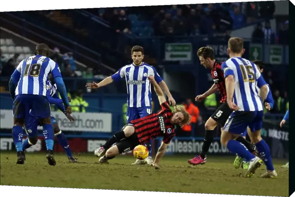 Craig Mackail-Smith: Thrilling Moments at Sheffield Wednesday vs. Brighton & Hove Albion, 14 February 2015