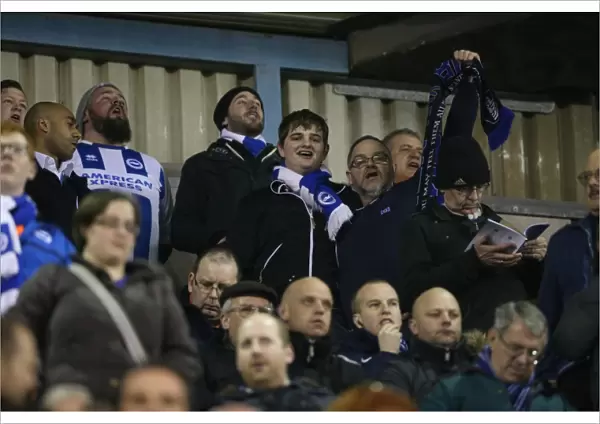 Brighton and Hove Albion Fans in Full Force: A Sea of Colors at the Millwall Championship Match (17MAR15)