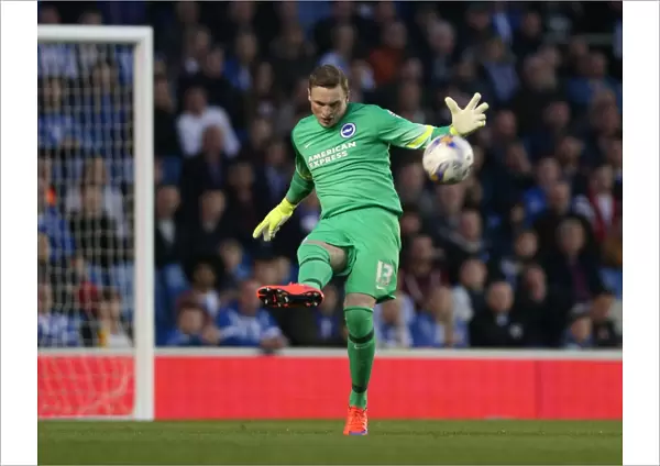 Brighton & Hove Albion's David Stockdale in Action against AFC Bournemouth (April 10, 2015)