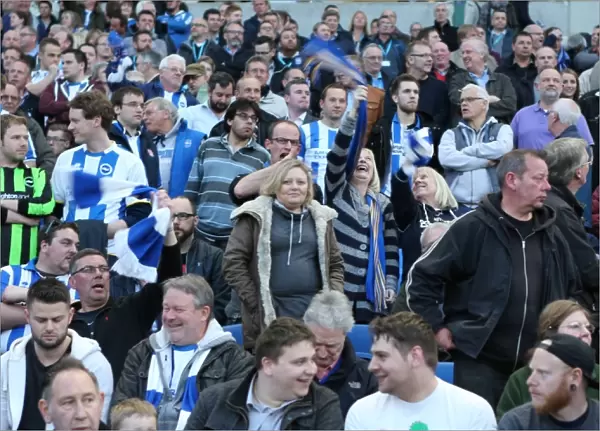 Brighton and Hove Albion Fans in Full Force: A Sea of Colors Against Huddersfield Town (14APR15)