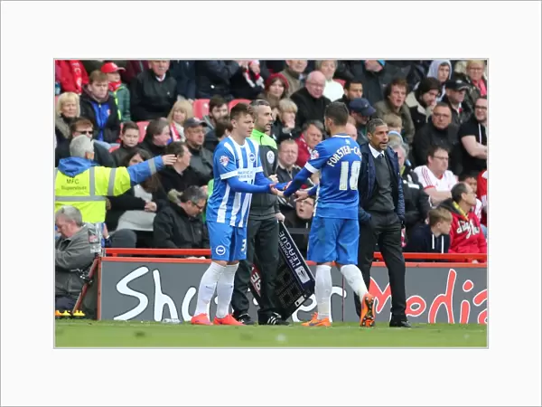 James Tilley's Debut: Middlesbrough vs. Brighton and Hove Albion (May 2015)