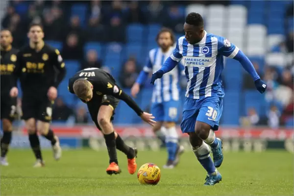 Brighton & Hove Albion vs. Bolton Wanderers: A Fight in the Sky Bet Championship (13 / 02 / 2016)