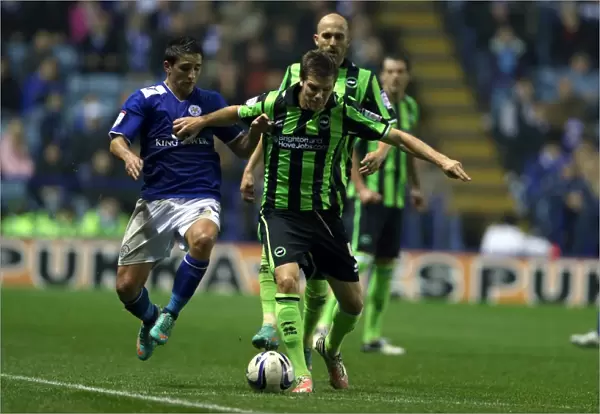 Dean Hammond: In Action for Brighton & Hove Albion Against Leicester City, Npower Championship (October 23, 2012)