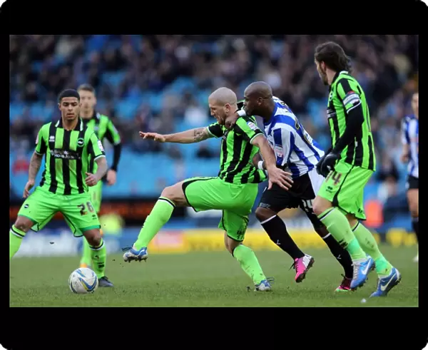 Defender Adam El-Abd of Brighton & Hove Albion Protecting the Goal Against Sheffield Wednesday - February 2, 2013