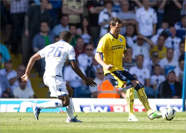 Brighton & Hove Albion vs. Leeds United: 2013-14 Away Game