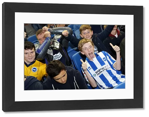 Brighton & Hove Albion vs. Sheffield Wednesday (2013-10-01) - Home Game from the 2013-14 Season