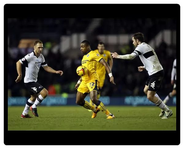 Brighton & Hove Albion vs. Derby County (Away Game - 18-01-2014)