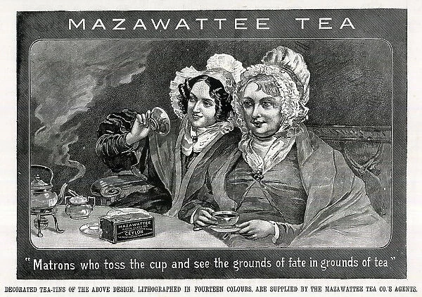 Advert, Reading the Tea Leaves, Mazawattee Tea Co