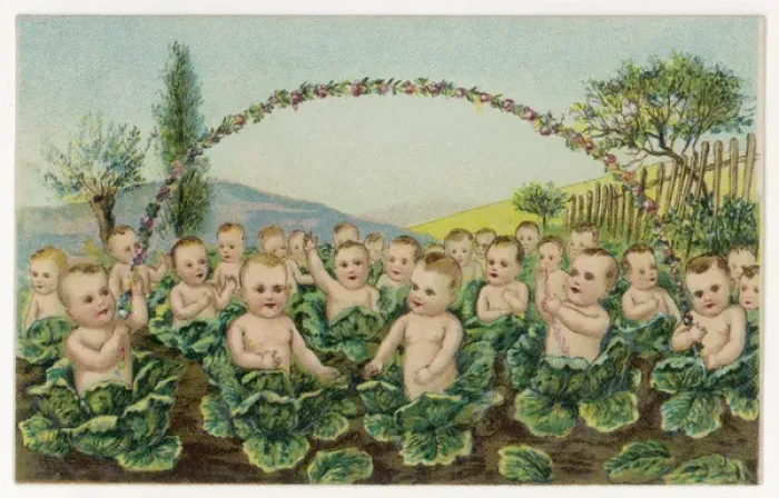 Framed Print : Cabbage Patch Babies Print