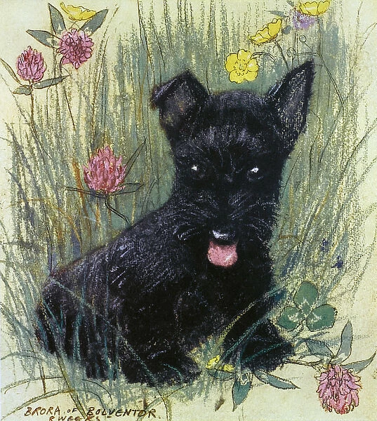 Black puppy by Muriel Dawson