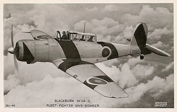 Blackburn Skua II - Fleet-fighter Dive Bomber