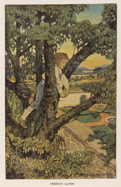 Boy Climbs Tree - Country