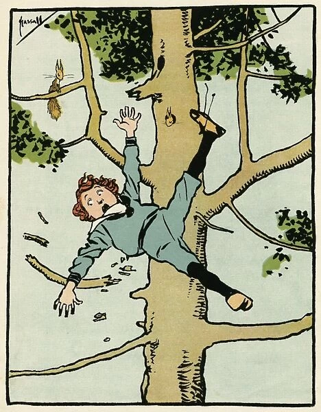 Boy Falls from a Tree