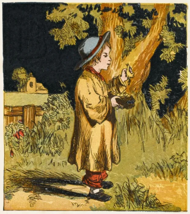 Framed Print : Victorian Boy with Nest and Chicks Print Framed Print : Victorian Boy with Nest and Chicks Print