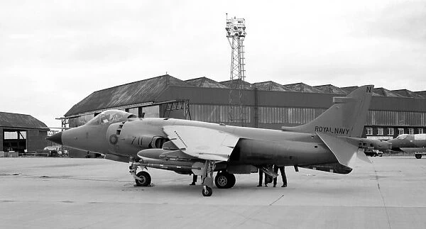 British Aerospace Sea Harrier FRS. 1 XZ491