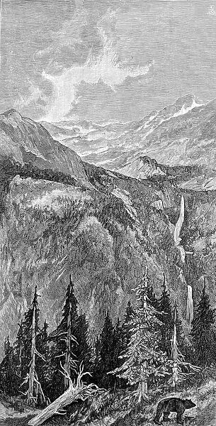 California Mountains, 1888