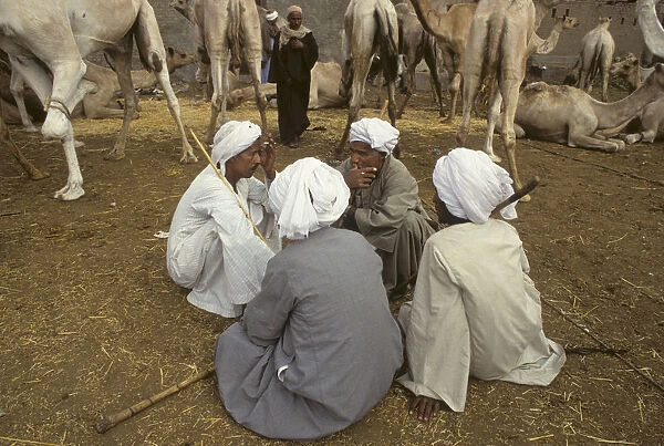 Camel traders at Birqash Camel Market near Cairo, Egypt