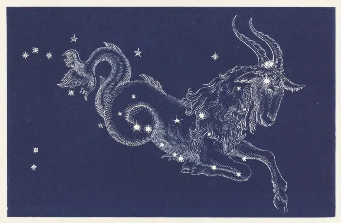 Framed Print : Capricorn Constellation Print