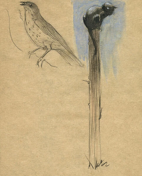 Cat and bird by Muriel Dawson