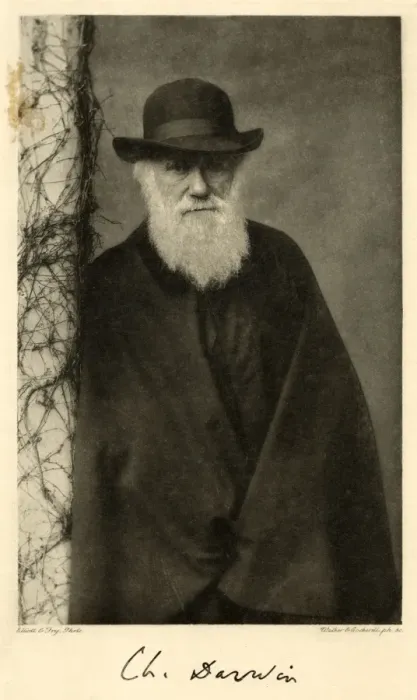 Framed Print : Charles Darwin Print Framed Print : Charles Darwin Print