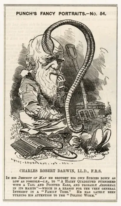 Framed Print : Charles Darwin Studying a Worm Print Framed Print : Charles Darwin Studying a Worm Print