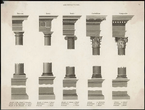 Classical Orders. Columns, capitals and entablatures of the classical orders