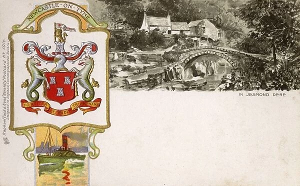 The Coat of Arms of Newcastle-upon-Tyne and Jesmond Dene