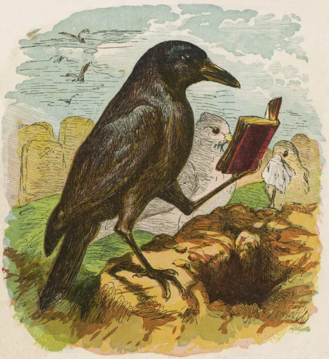 Framed Print : Cock Robin Print: A Mournful Rook Leads the Burial Service Framed Print : Cock Robin Print: A Mournful Rook Leads the Burial Service